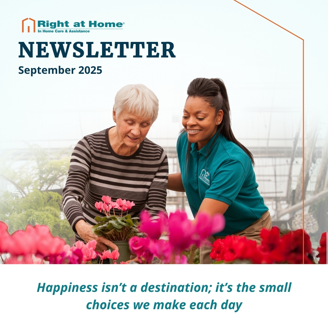 December newsletter<br />
